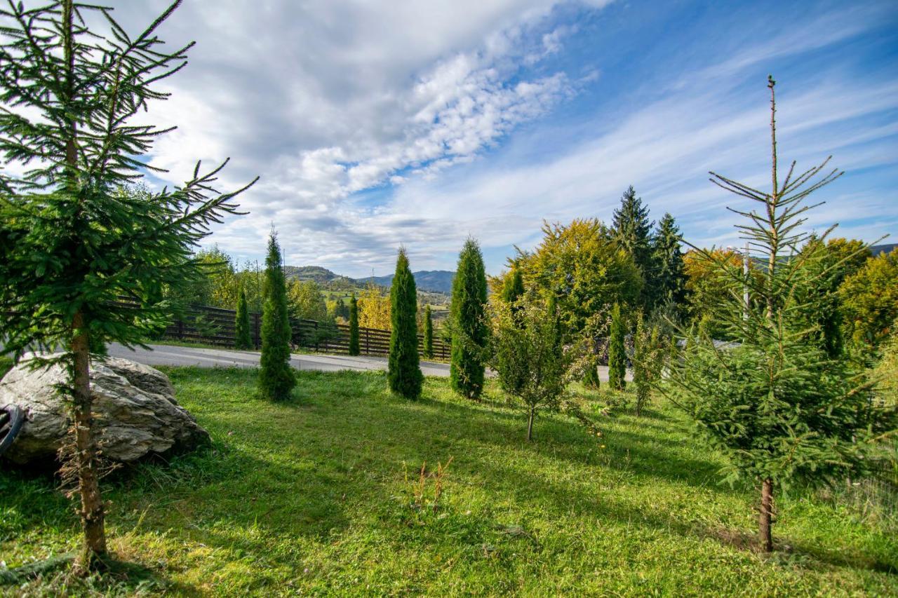 Hotel Alpina Panoramic Moisei Esterno foto