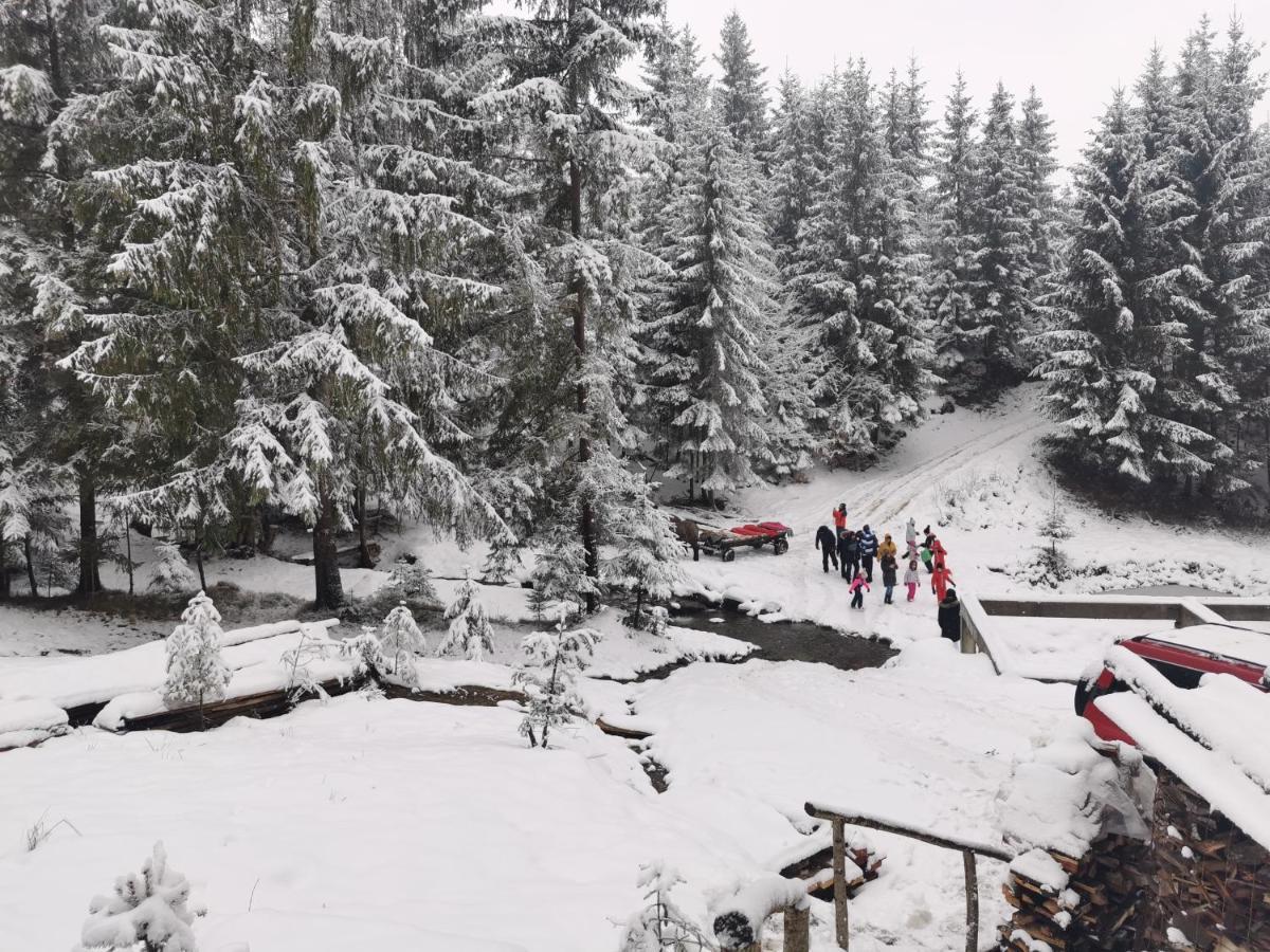 Hotel Alpina Panoramic Moisei Esterno foto