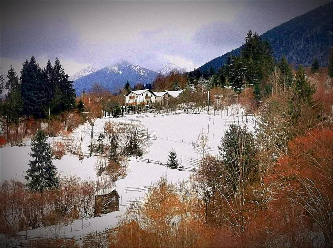 Hotel Alpina Panoramic Moisei Esterno foto