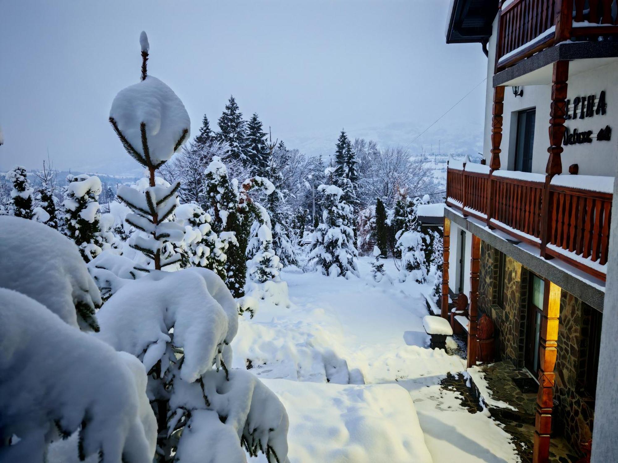 Hotel Alpina Panoramic Moisei Esterno foto