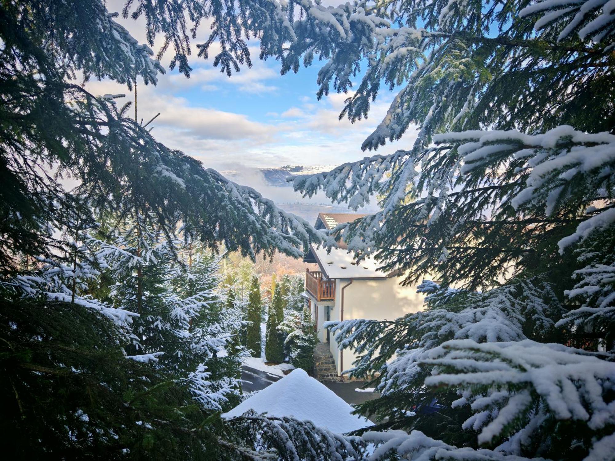 Hotel Alpina Panoramic Moisei Esterno foto