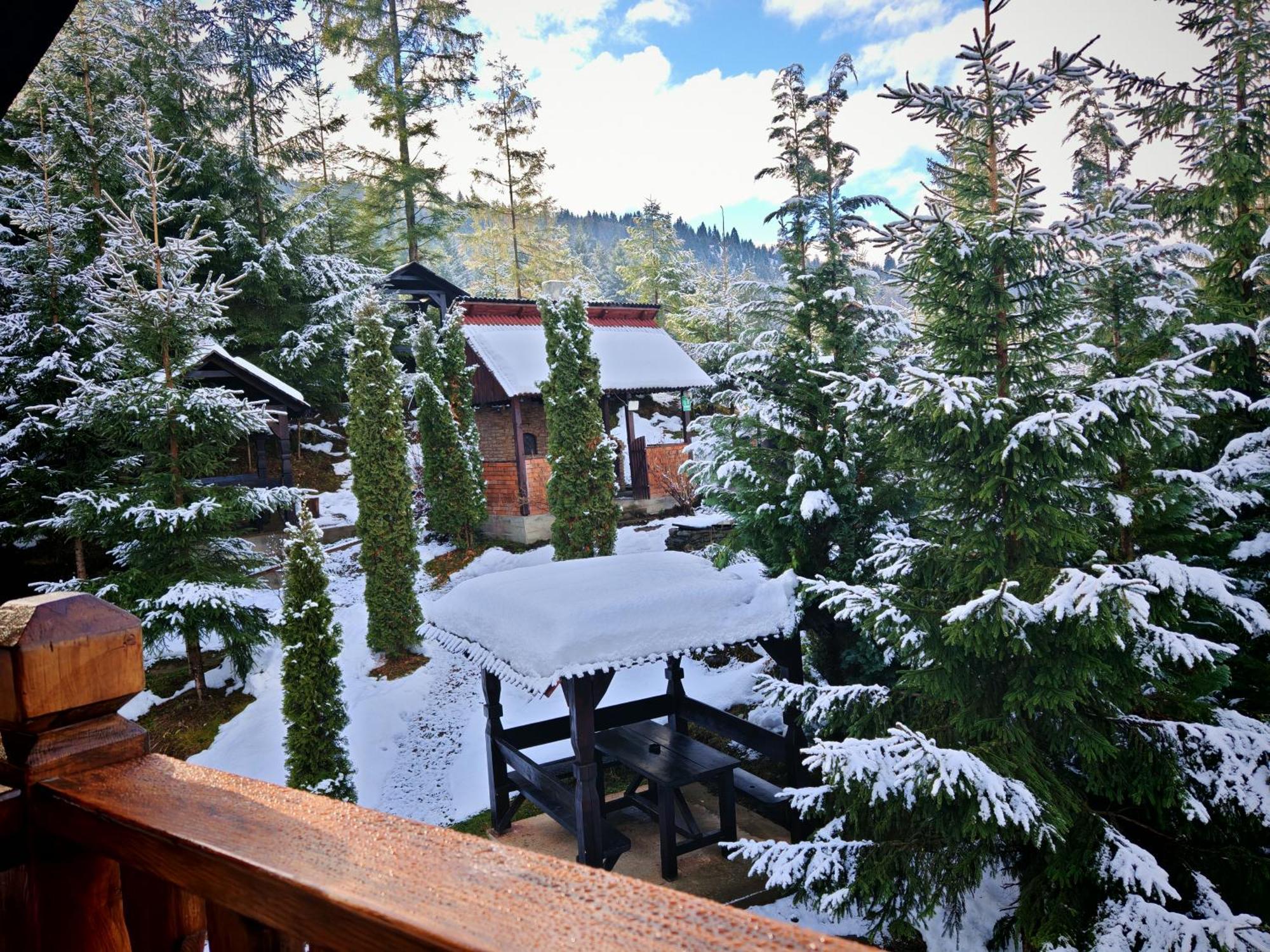 Hotel Alpina Panoramic Moisei Esterno foto