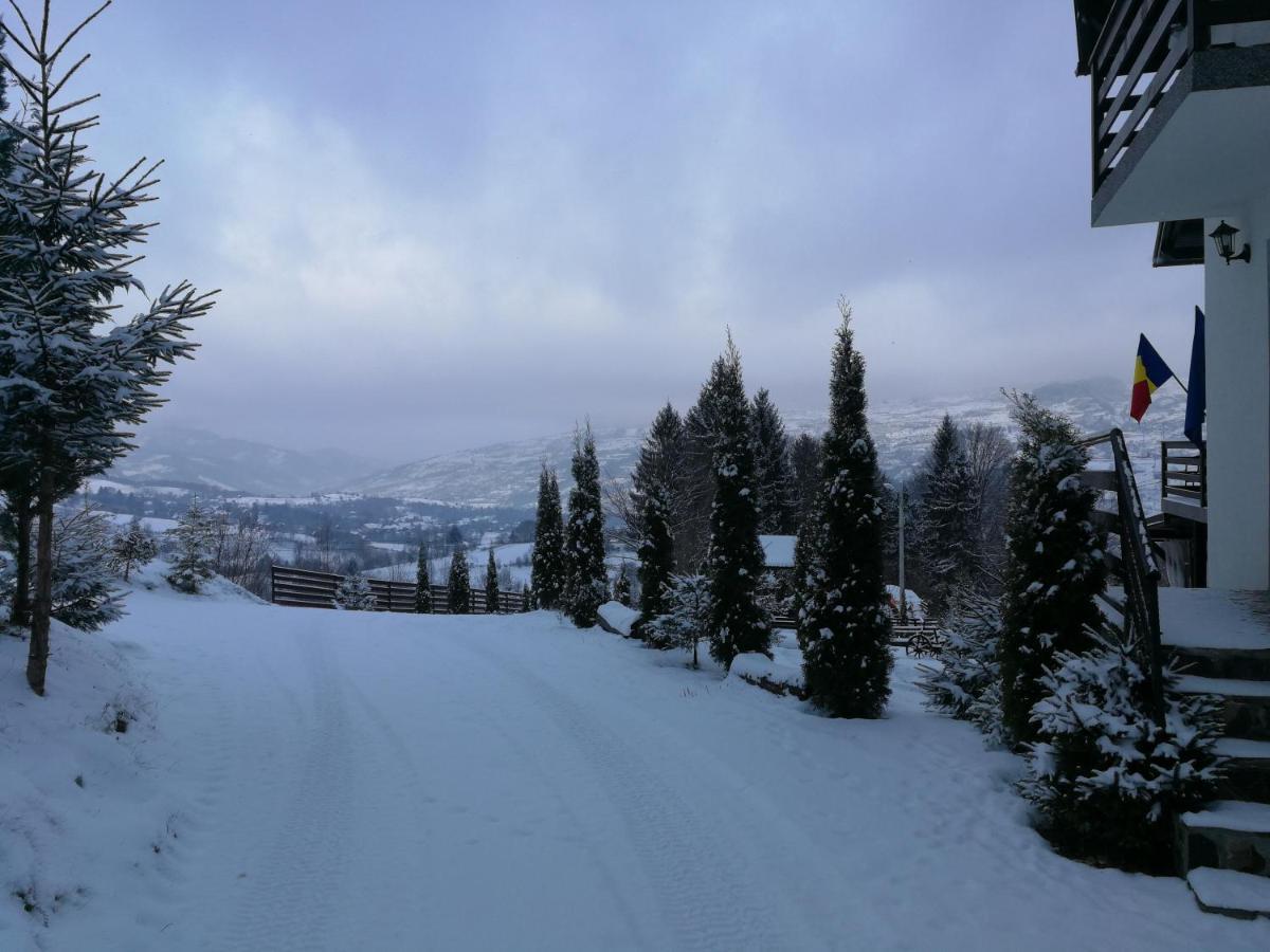 Alpina Panoramic Hotel Moisei Esterno foto